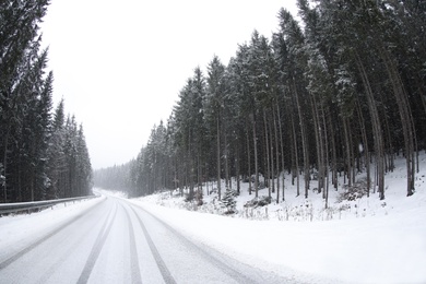 Beautiful landscape with conifer forest and road on snowy winter day