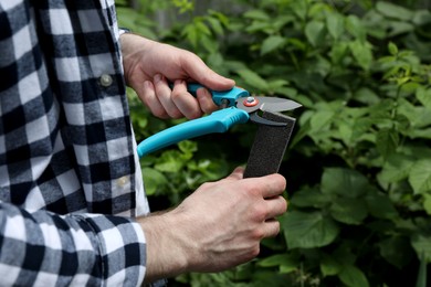 Photo of Man sharpening pruner outdoors, closeup. Gardening tools
