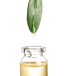 Drop of essential oil falling from leaf into glass bottle on white background