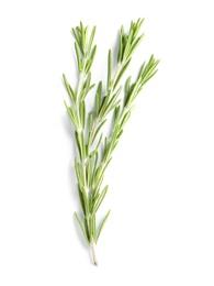 Photo of Fresh rosemary on white background