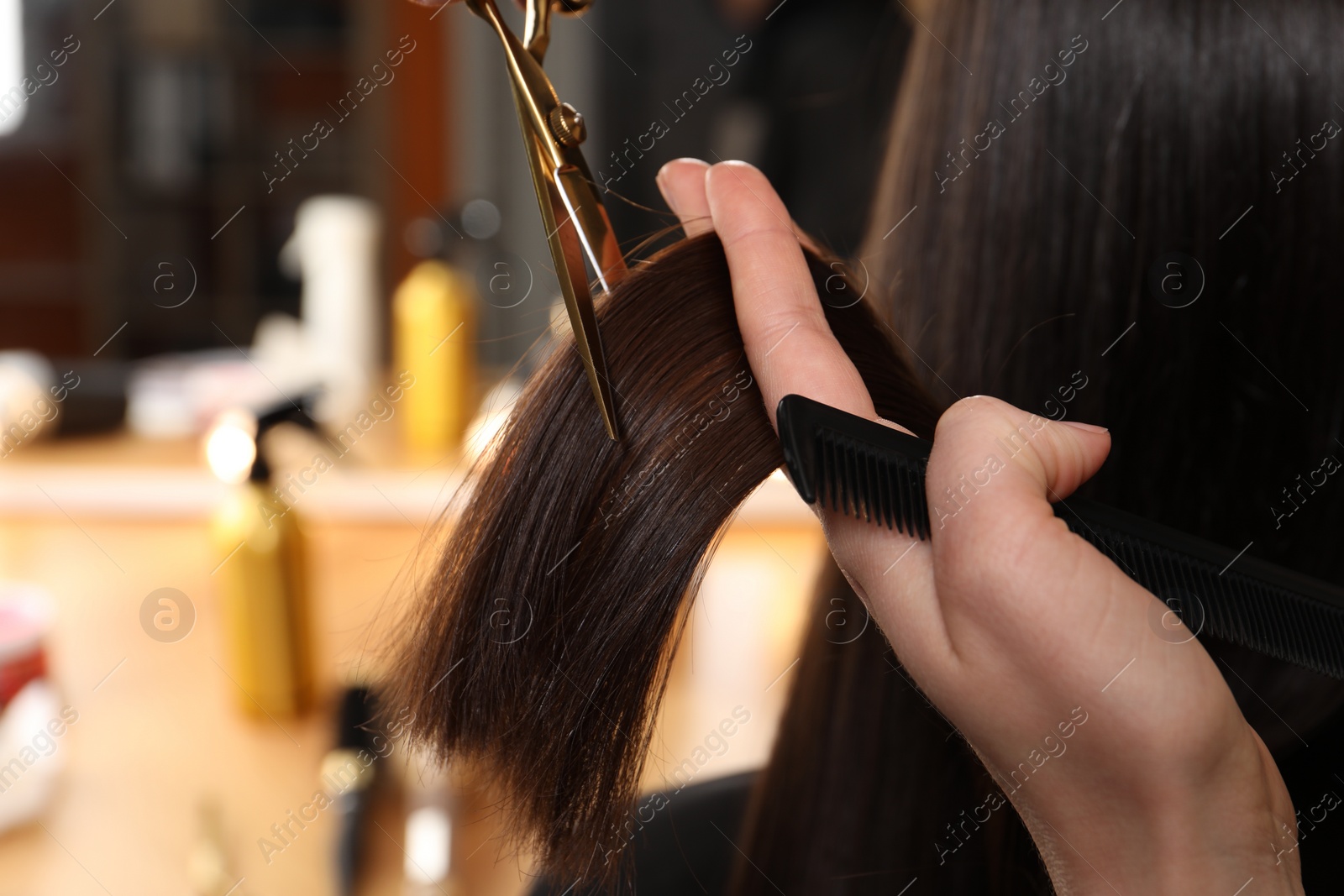 Photo of Hairdresser cutting client's hair with scissors in salon, closeup