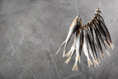 Dried fish hanging on rope against grey background, space for text