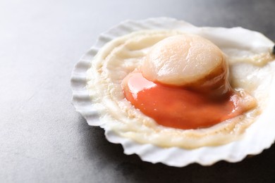 Photo of Fresh raw scallop in shell on grey table, closeup