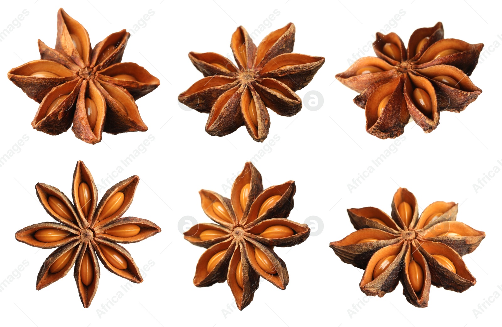 Image of Set with dry anise anise stars on white background