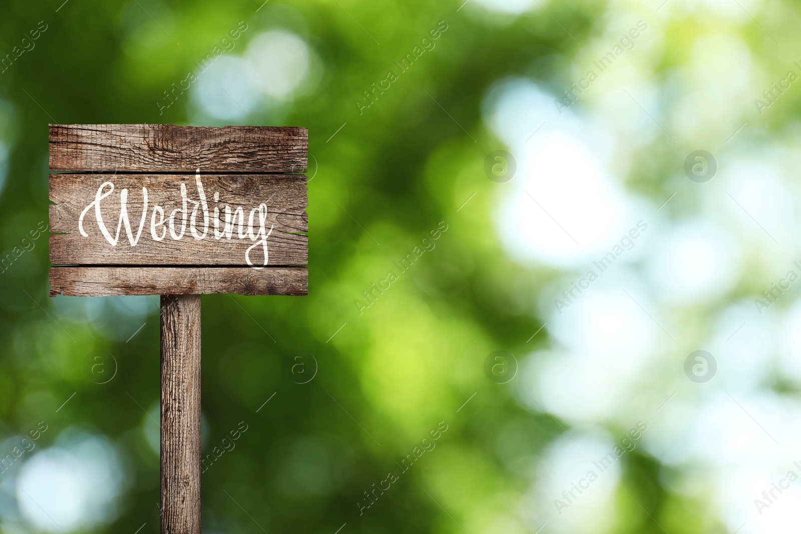 Image of Wooden plaque with inscription Wedding outdoors, space for text 