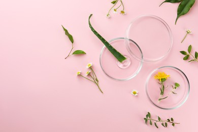 Photo of Petri dishes with different plants and cosmetic product on pink background, flat lay. Space for text