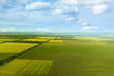 Image of Beautiful aerial view of fields and blue sky