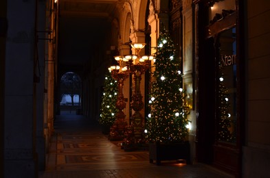 Paris, France - December 10, 2022: Christmas trees and elegant streetlights near building in evening