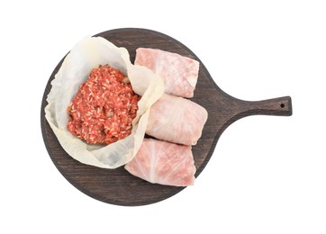 Board with stuffed cabbage rolls isolated on white, top view