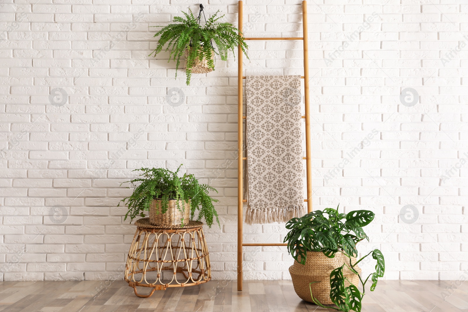 Photo of Beautiful green potted plants in stylish room interior