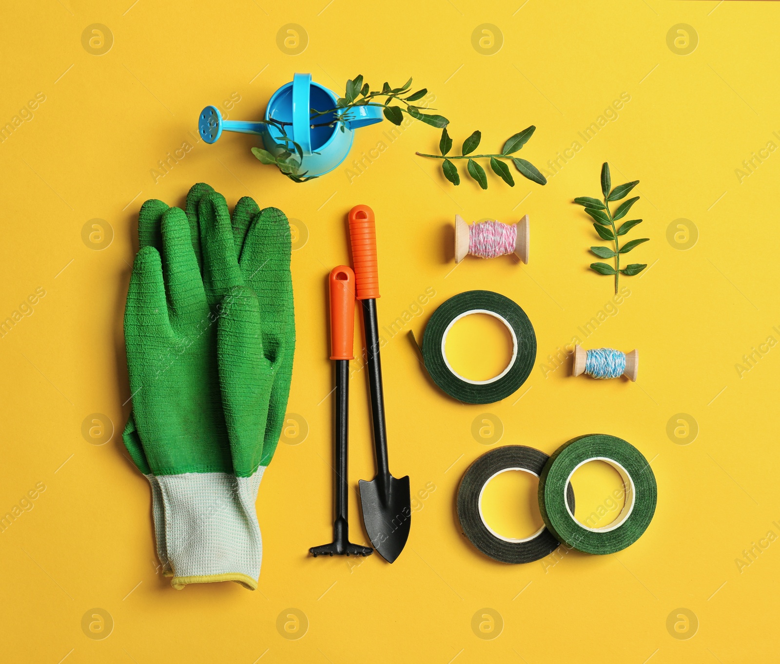 Photo of Florist equipment on color background, top view