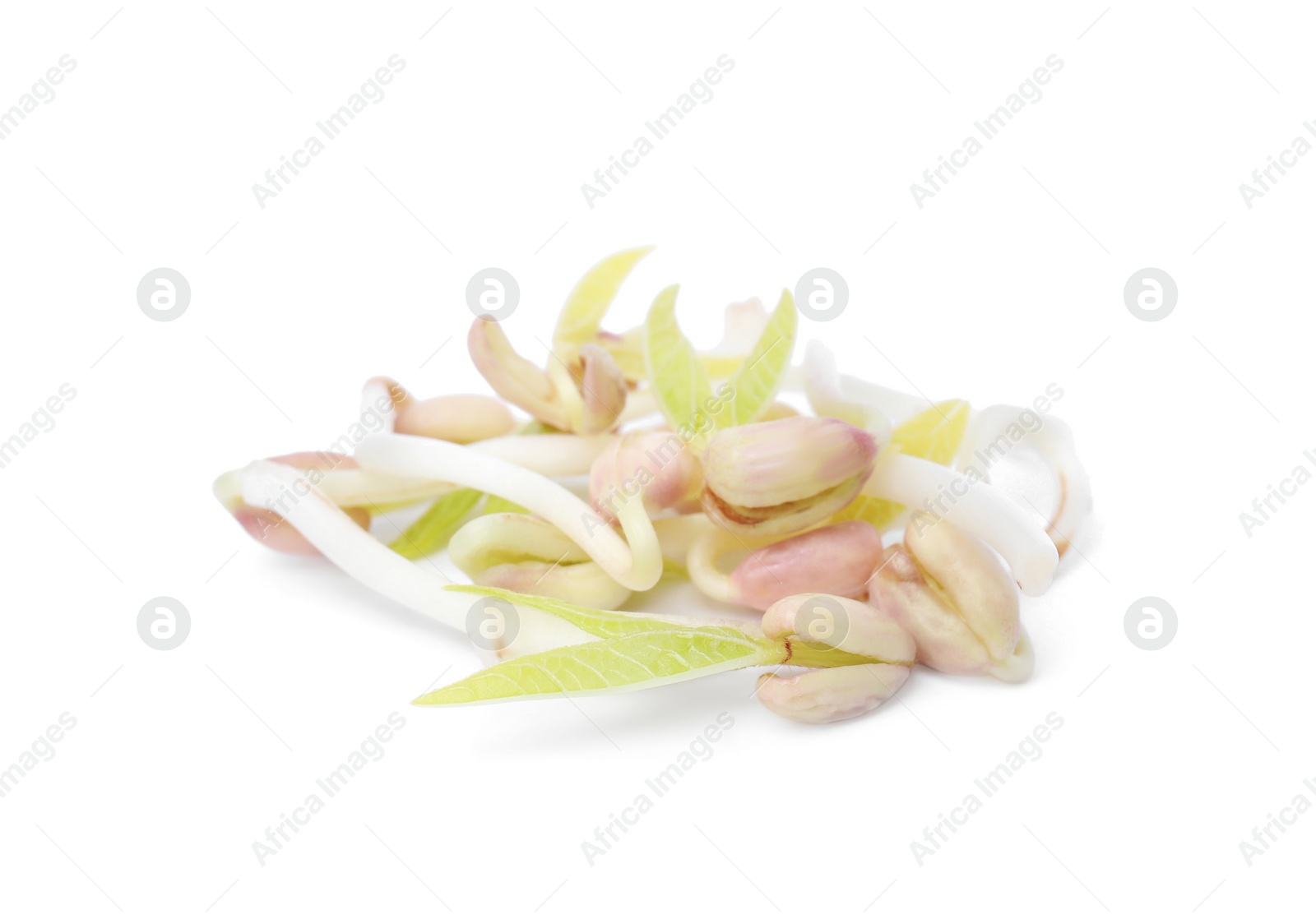 Photo of Heap of mung bean sprouts isolated on white