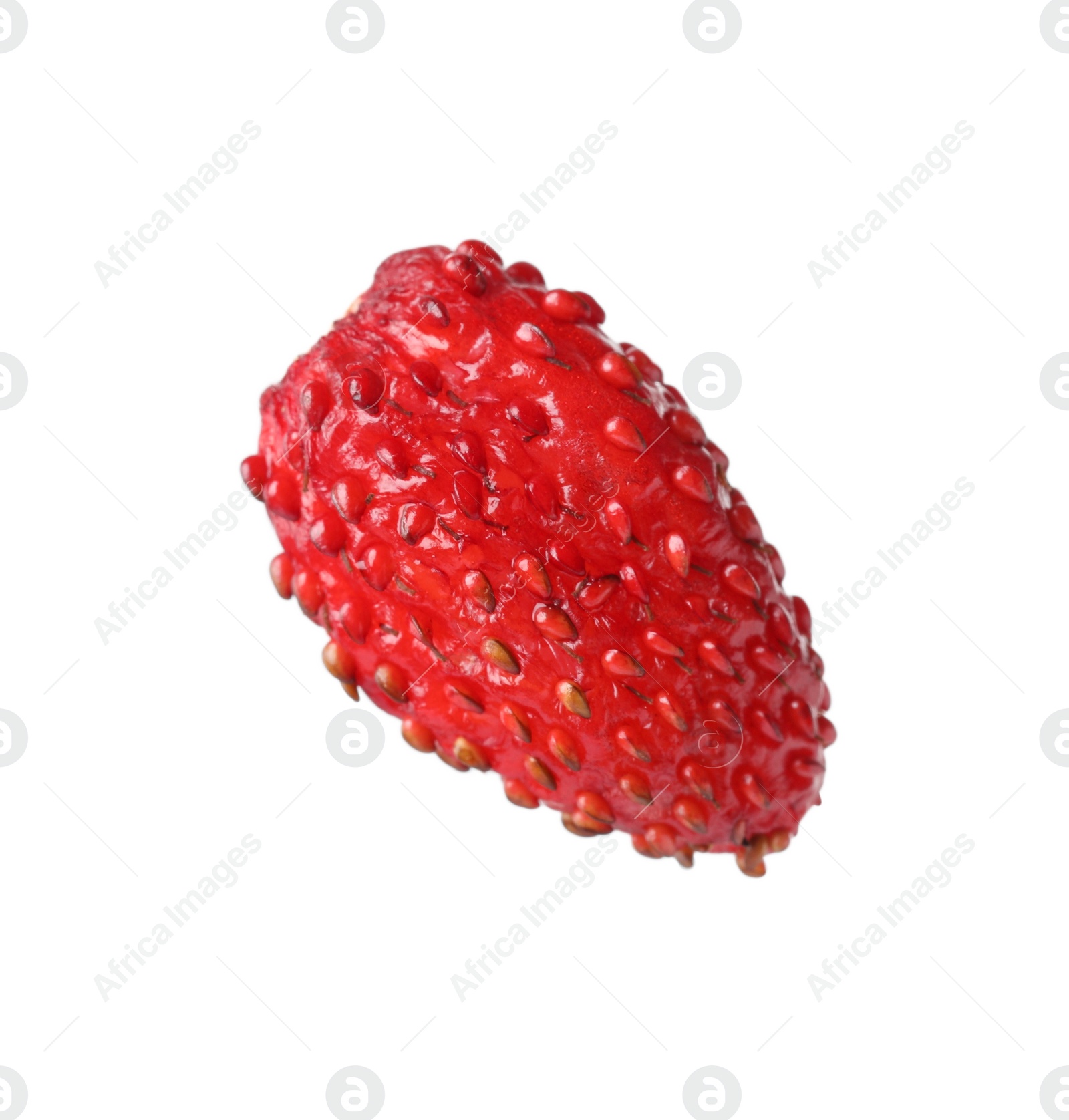 Photo of One ripe wild strawberry isolated on white