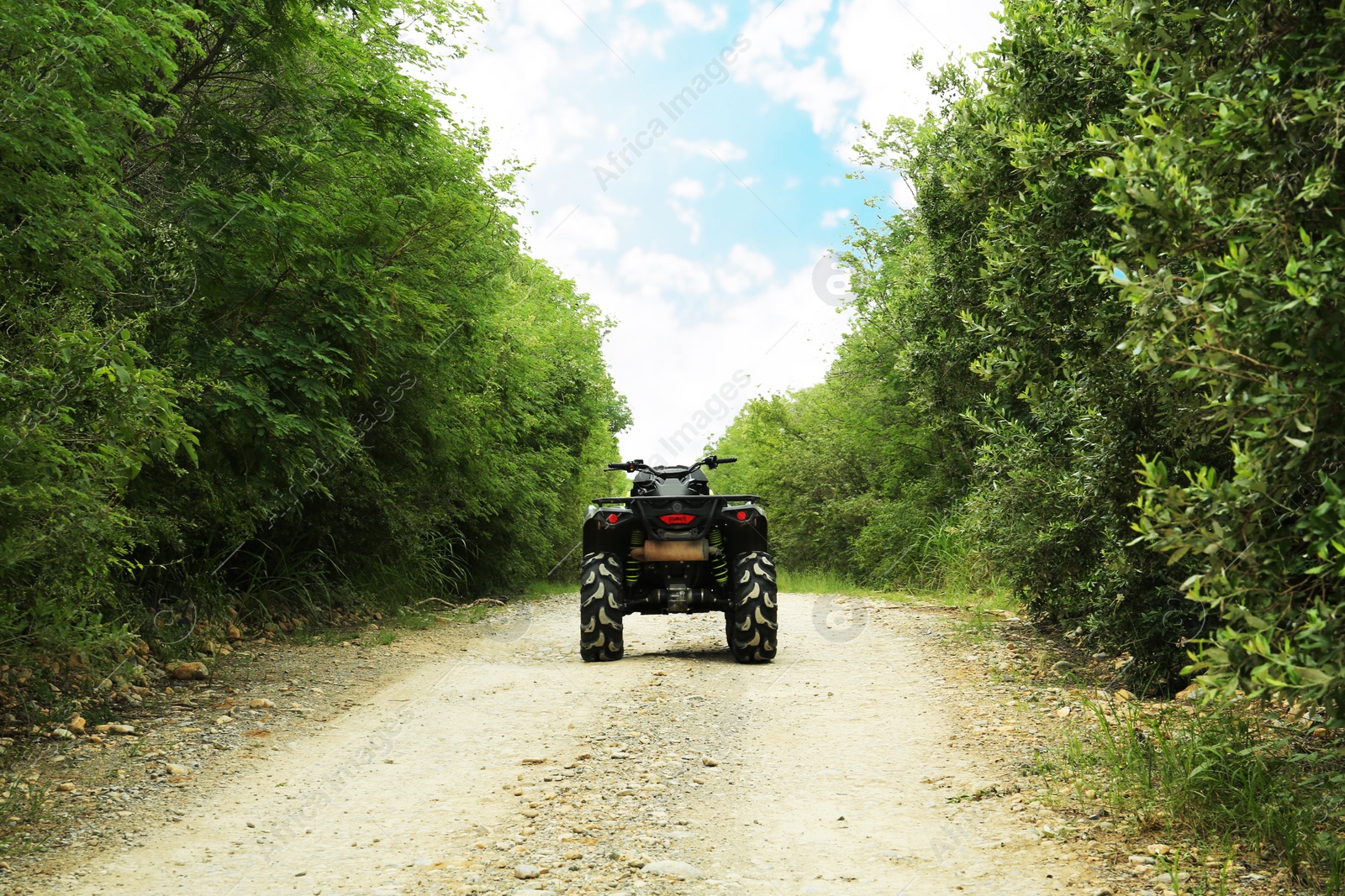 Photo of Black quad bike on pathway near trees outdoors