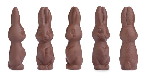 Set with chocolate Easter bunnies on white background, banner design 