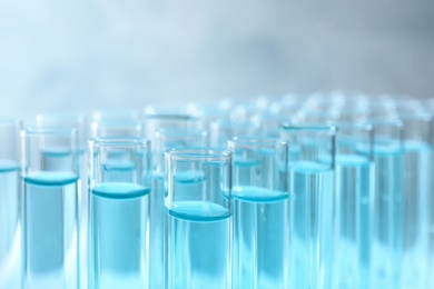 Photo of Many test tubes with light blue liquid on grey background, closeup