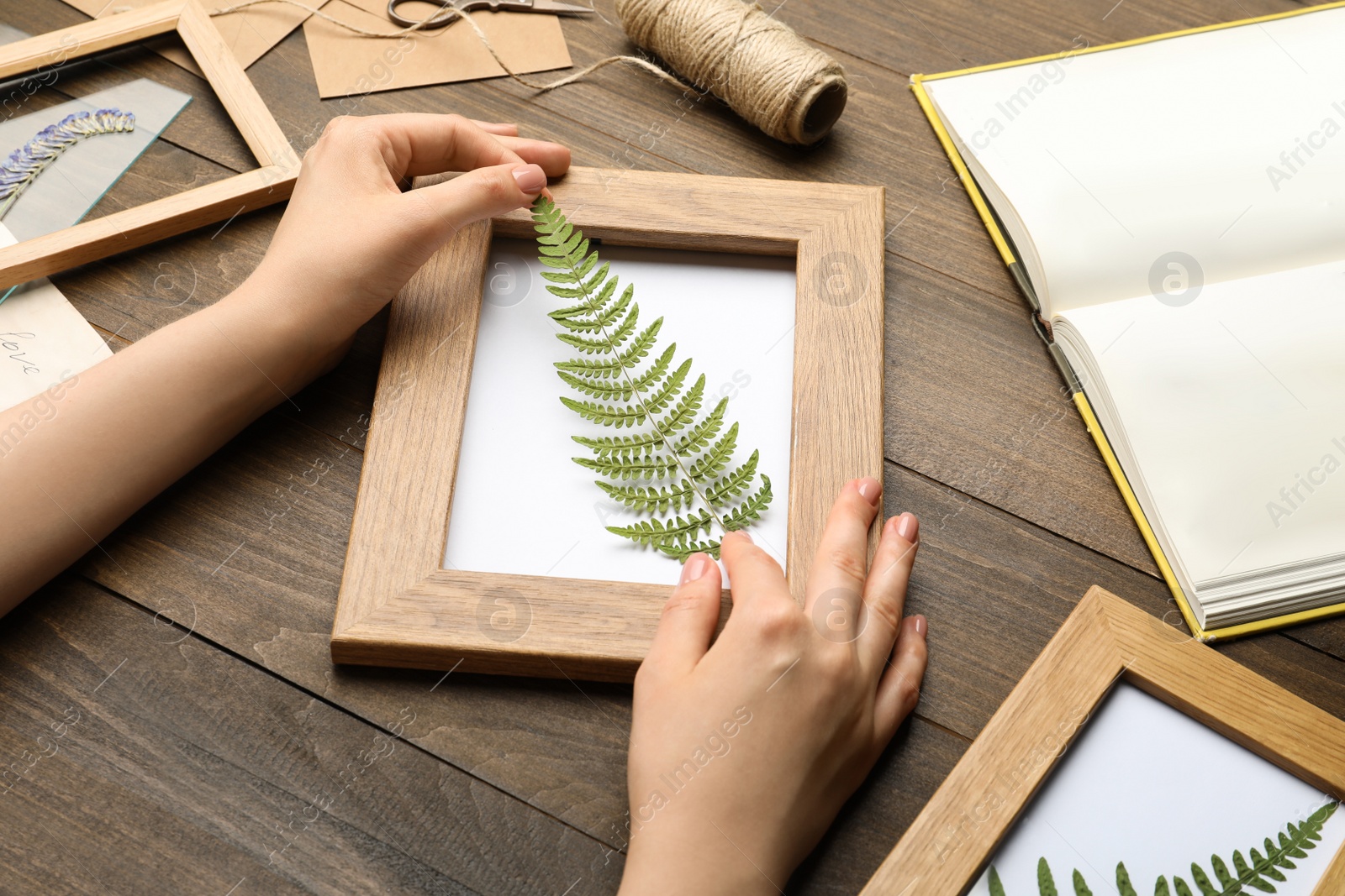 Photo of Woman making beautiful herbarium with pressed dried fern leaf at wooden table, closeup