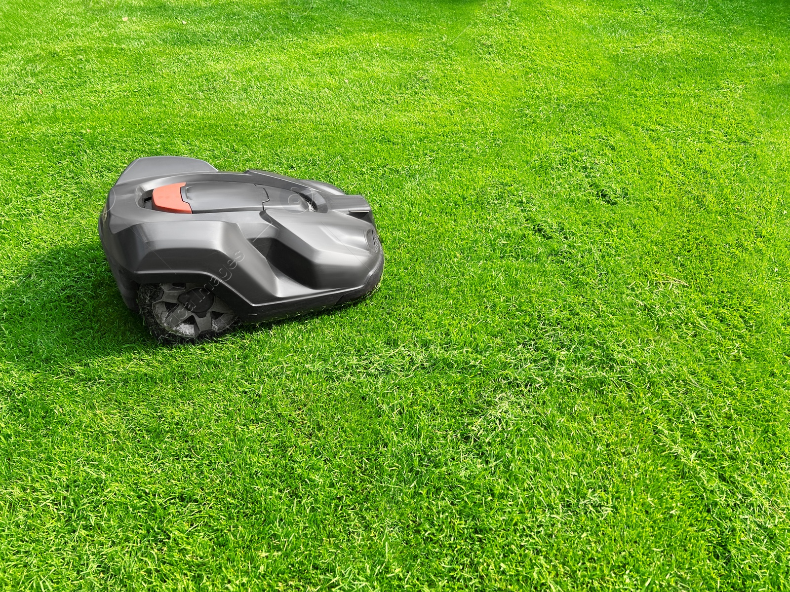 Photo of Modern robot lawn mower on green grass in garden