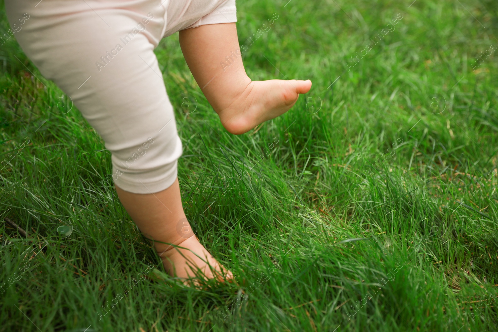 Photo of Little child walking on green grass outdoors, closeup. Space for text