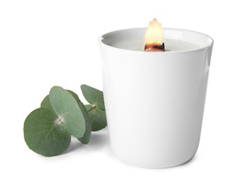 Beautiful candle with wooden wick and eucalyptus on white background