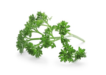 Fresh green parsley on white background