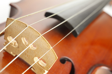 Photo of Beautiful classic violin, closeup view. Musical instrument