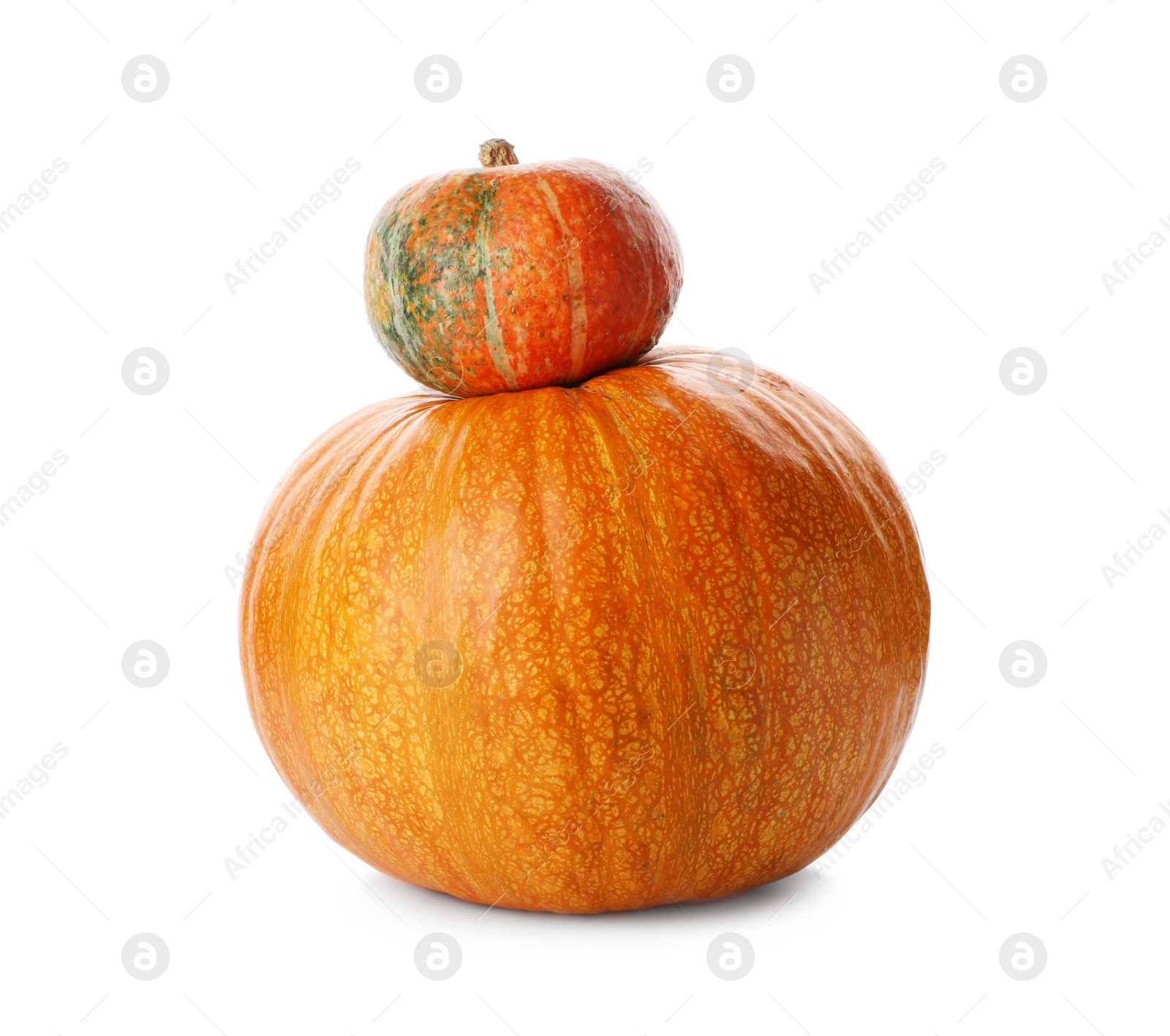 Photo of Fresh raw pumpkins isolated on white. Organic plant