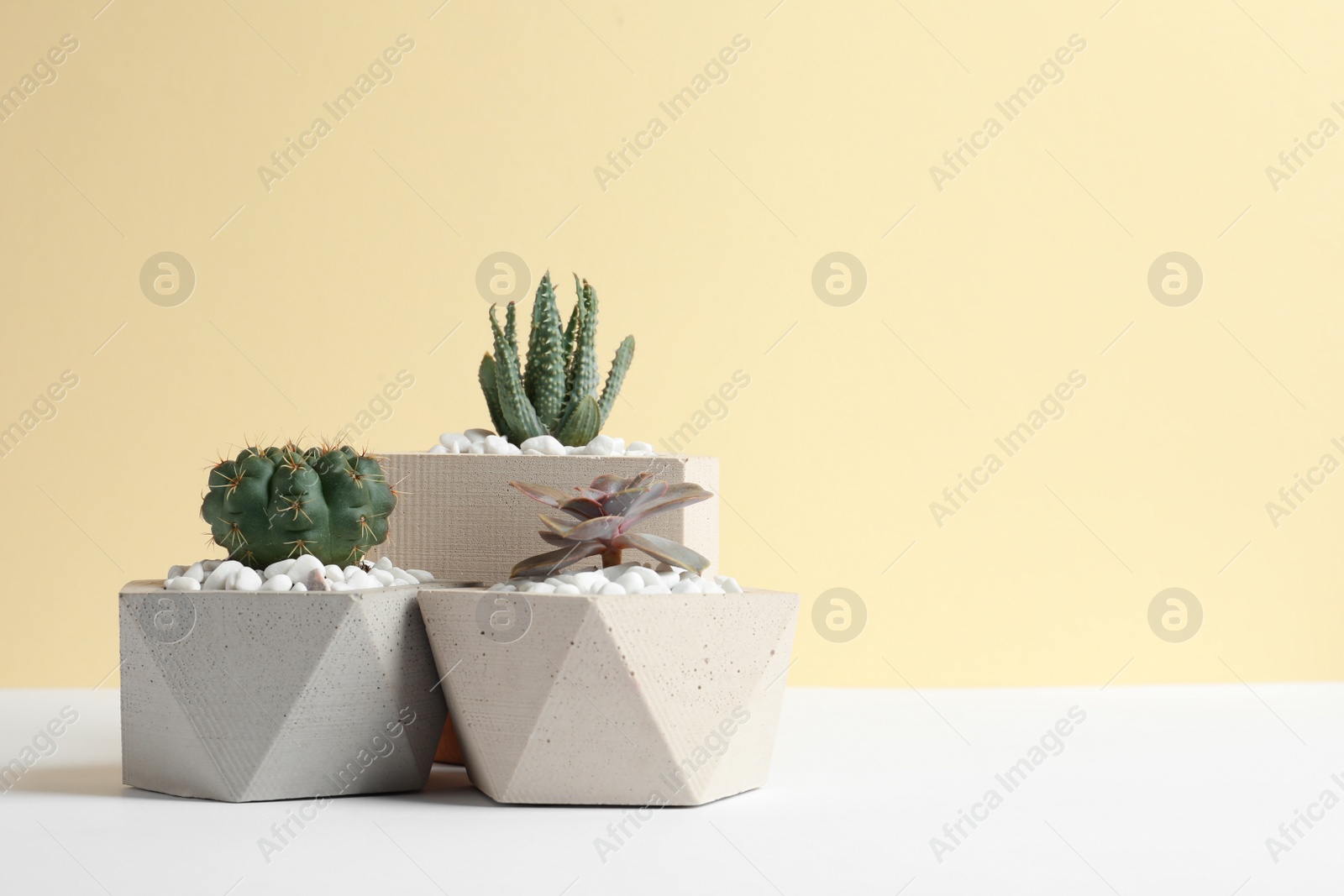 Photo of Beautiful succulent plants in stylish flowerpots on table against yellow background, space for text. Home decor