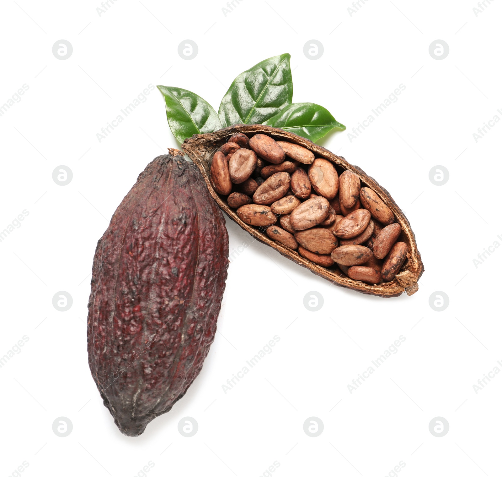 Photo of Composition with cocoa pods on white background, top view