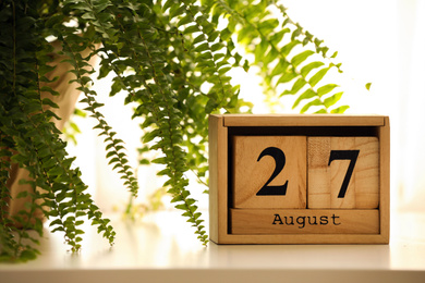 Photo of Wooden block calendar and plant on white table indoors
