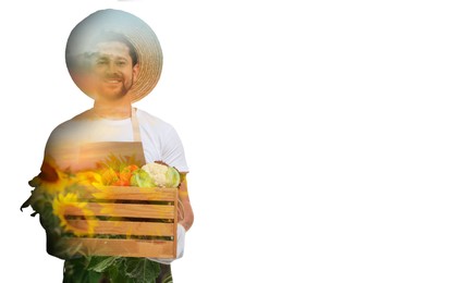 Image of Double exposure of farmer and sunflower field on white background