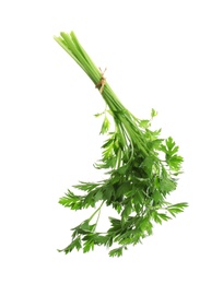 Bunch of fresh green parsley on white background