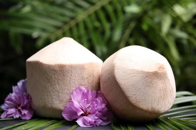 Young peeled coconuts with palm leaf and flowers on table