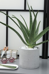 Photo of Beautiful potted aloe vera plant, cosmetic products and burning candles on table indoors