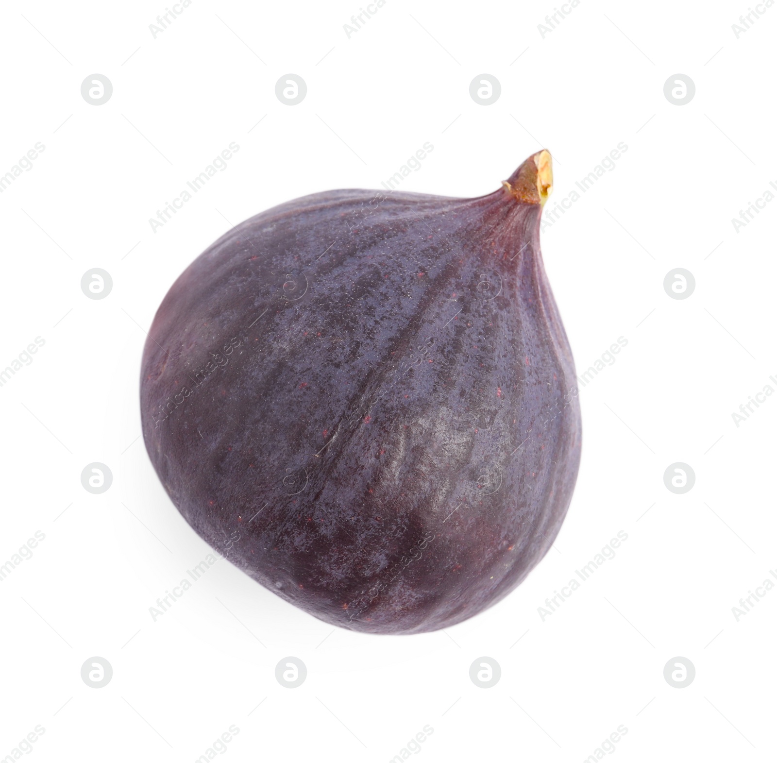 Photo of One fresh ripe fig isolated on white