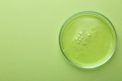 Petri dish with liquid sample on green background, top view. Space for text