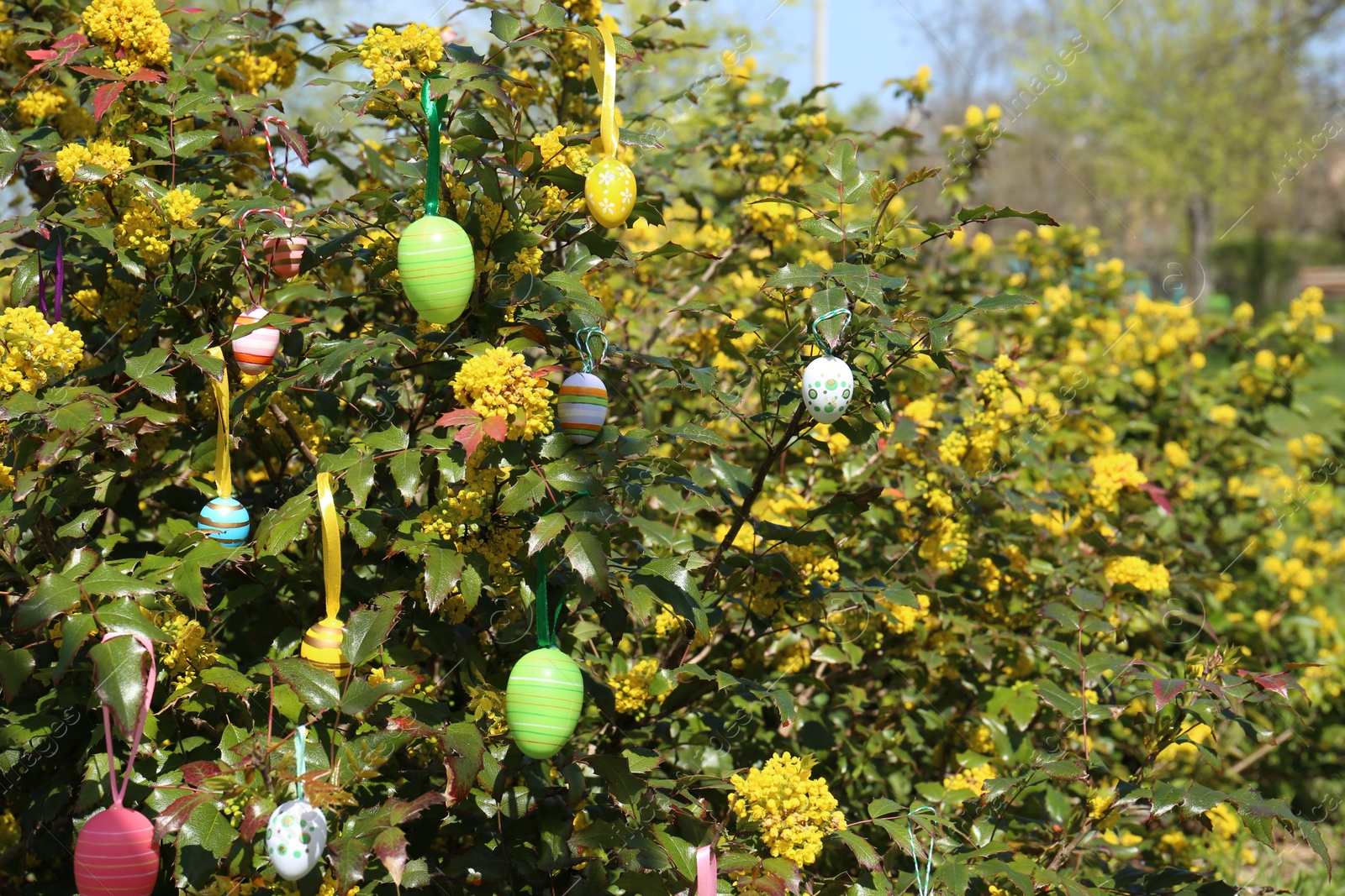 Photo of Beautifully painted Easter eggs hanging on tree outdoors