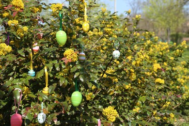 Beautifully painted Easter eggs hanging on tree outdoors