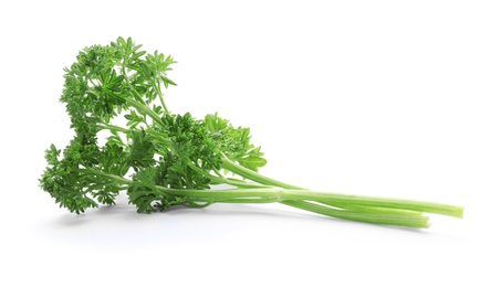 Photo of Fresh green parsley on white background