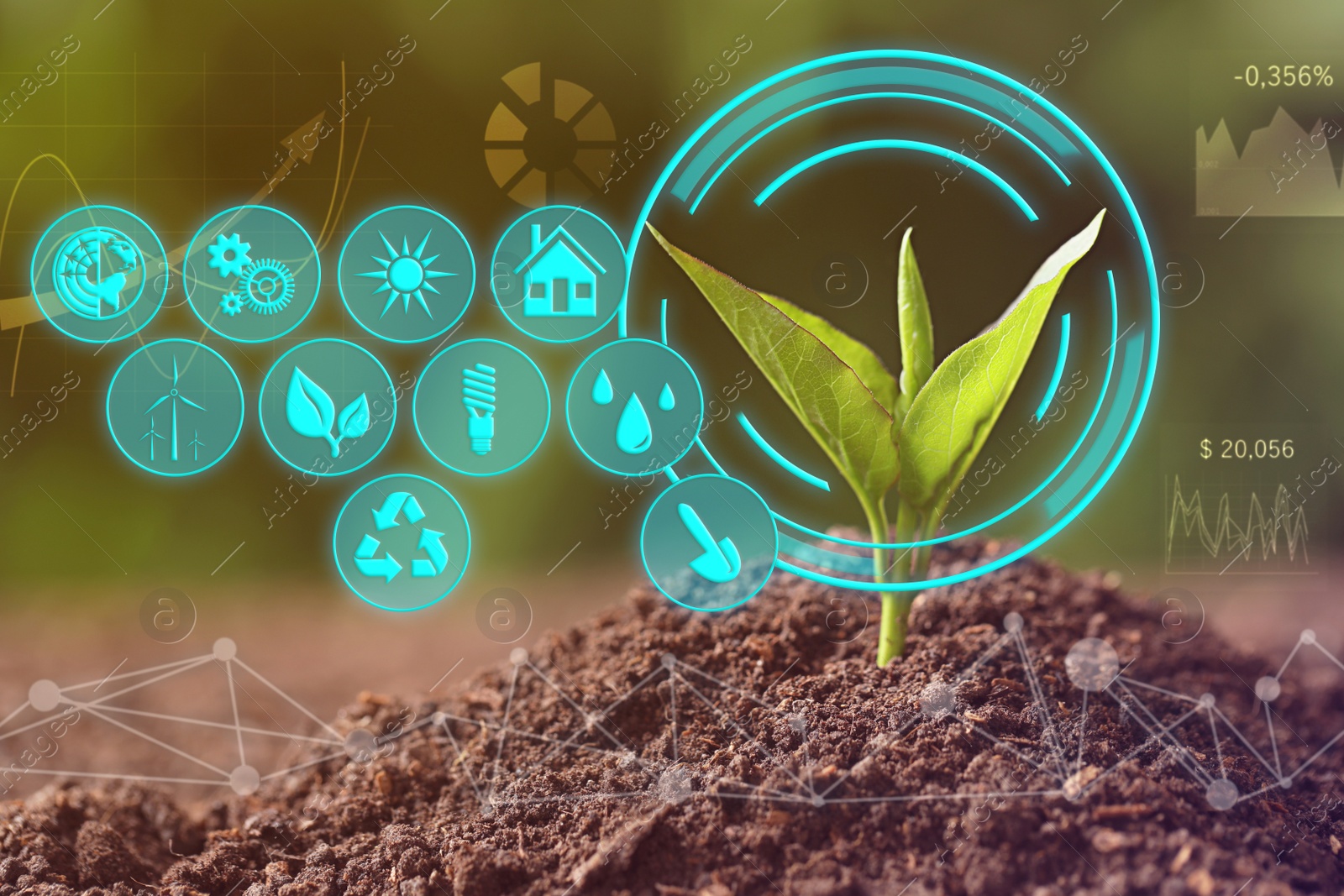 Image of Modern technology in agriculture. Green seedling and icons