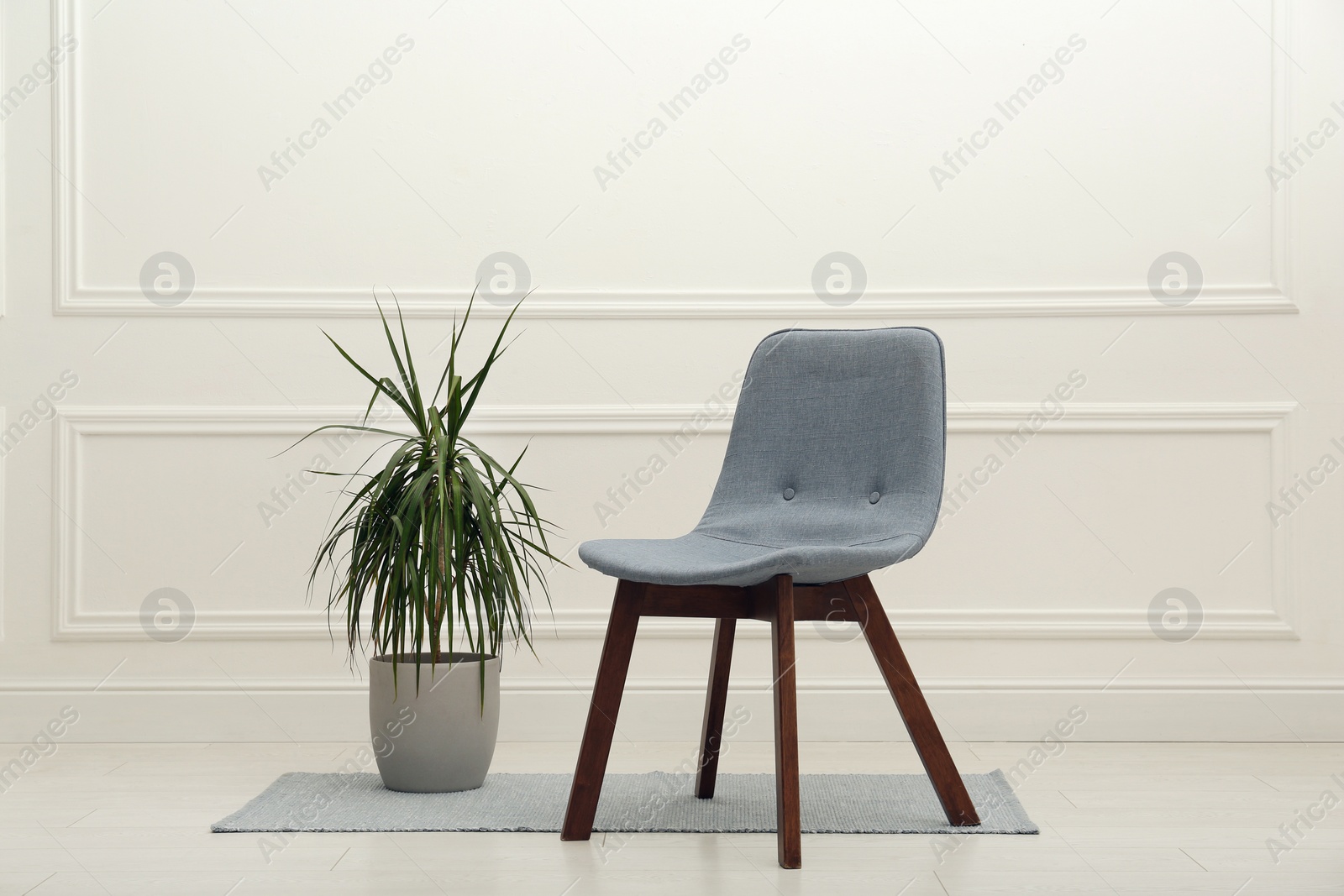Photo of Modern grey chair and beautiful houseplant near white wall indoors