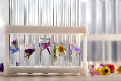 Photo of Test tubes with different flowers on wooden table, closeup. Essential oil extraction