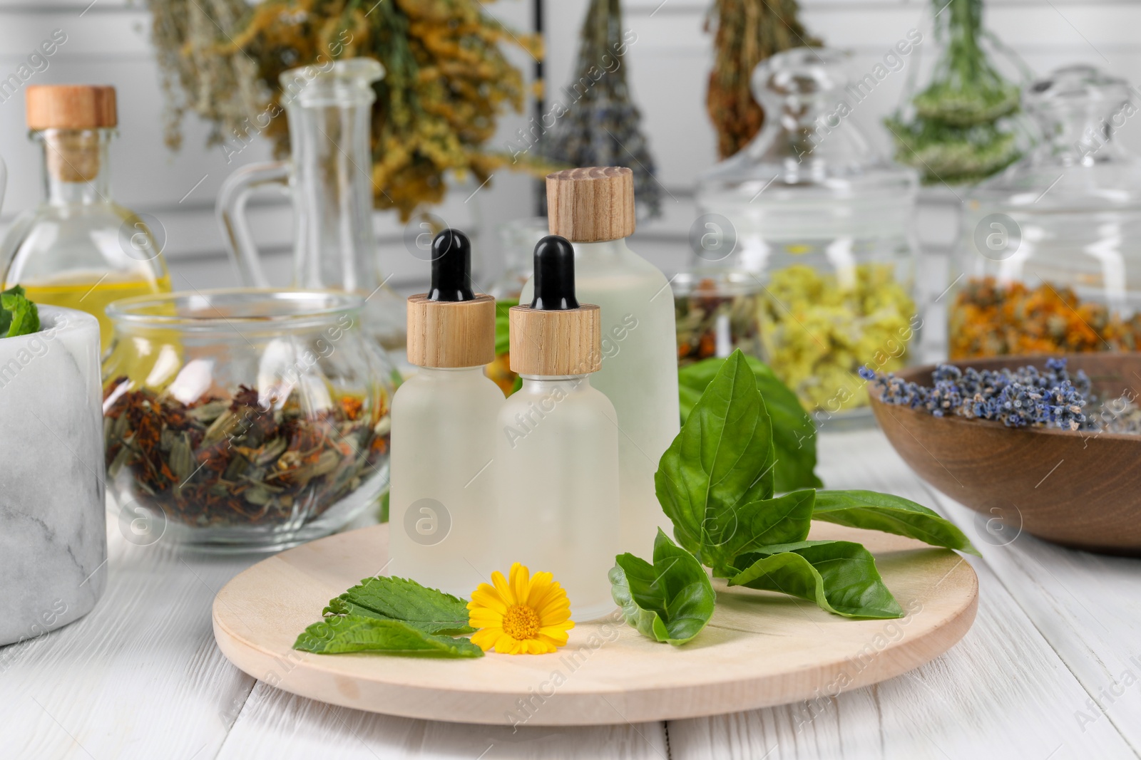 Photo of Bottles of essential oils, leaves, flower and herbs on white wooden table