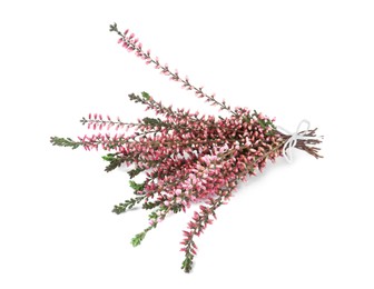Photo of Bunch of heather branches with beautiful flowers isolated on white, top view
