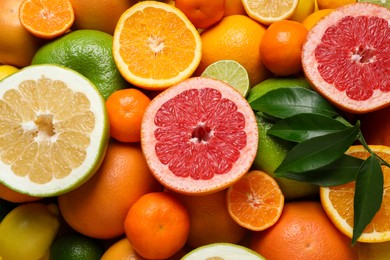 Photo of Different ripe citrus fruits with green leaves as background, top view