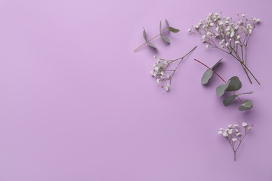 Photo of Beautiful gypsophila flowers and eucalyptus twigs on violet background, flat lay. Space for text