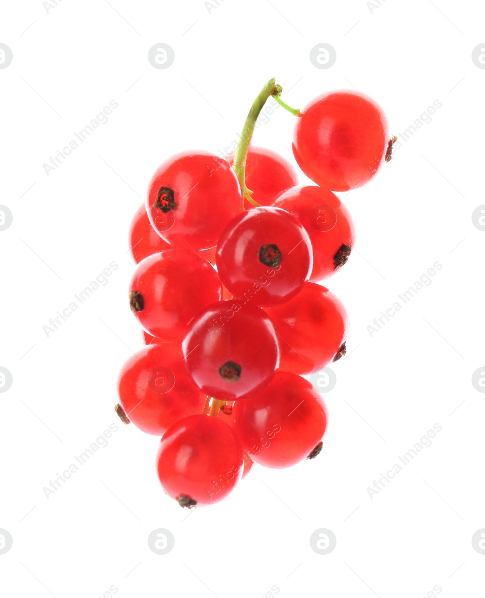 Photo of Delicious ripe red currants isolated on white