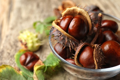 Horse chestnuts in bowl on table, closeup