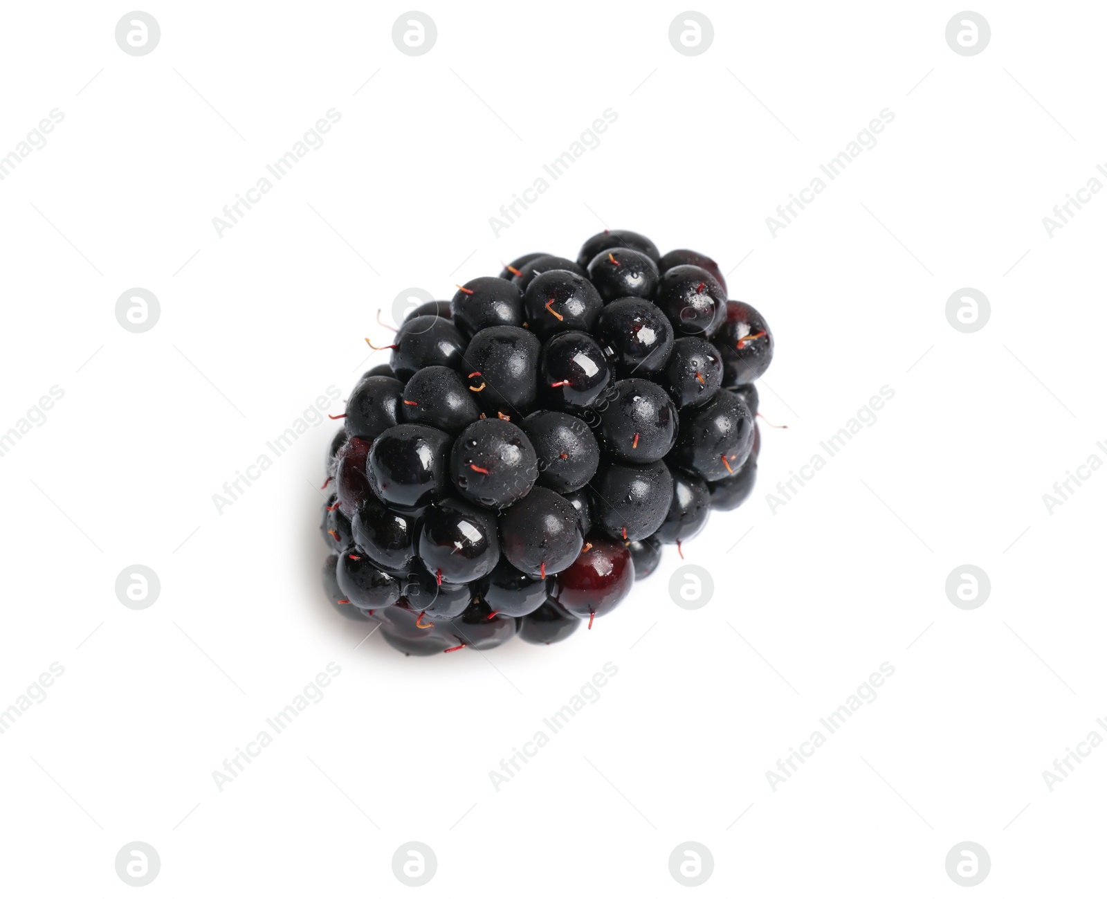 Photo of One tasty ripe blackberry isolated on white