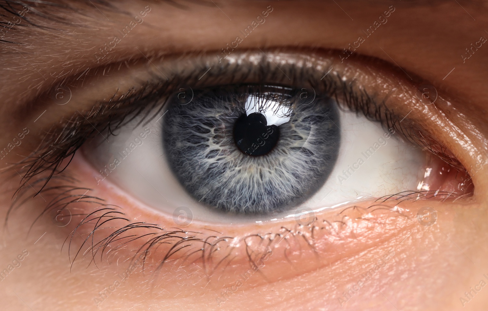 Image of Closeup view of man with beautiful eye